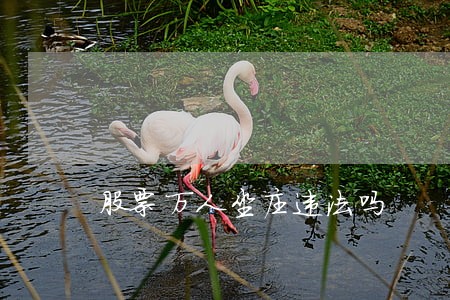 股票万人坐庄违法吗