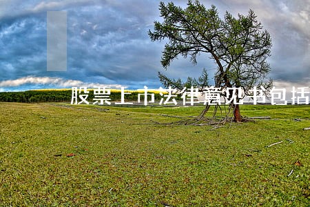 股票上市法律意见书包括哪些