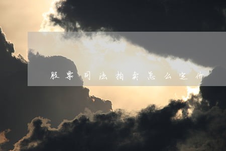 股票司法拍卖怎么定价 股票司法拍卖怎么定价