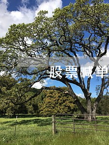 股票喊单算违法吗