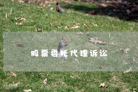 股票委托代理诉讼