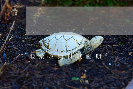 股票收购付款逾期 股票收购付款逾期