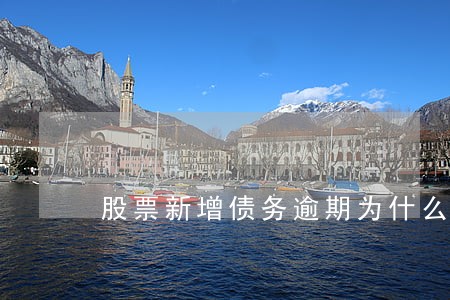 股票新增债务逾期为什么还涨停 股票新增债务逾期为什么还涨停