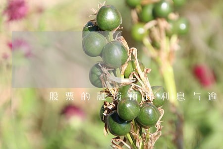股票的融资预计利息与逾期利息 股票的融资预计利息与逾期利息