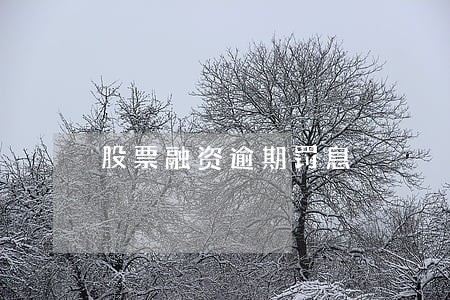 股票融资逾期罚息 股票融资逾期罚息