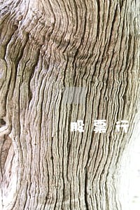 股票行情查询征信逾期 股票行情查询征信逾期