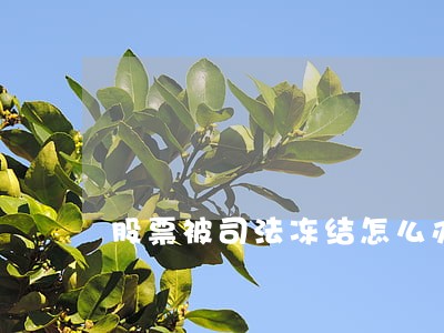 股票被司法冻结怎么办 股票被司法冻结怎么办