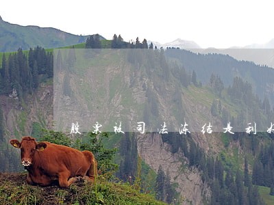 股票被司法冻结是利好 股票被司法冻结是利好