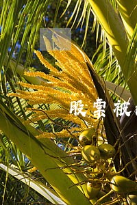 股票被法院强行平仓是 股票被法院强行平仓是