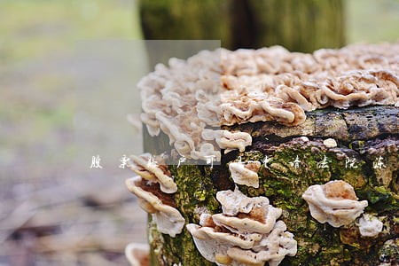 股票账户可以申请法院冻结么 股票账户可以申请法院冻结么