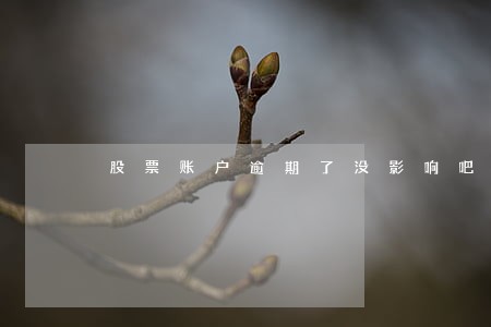 股票账户逾期了没影响吧