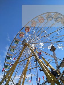 股票逾期债务