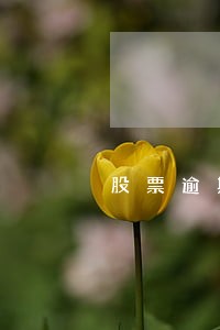 股票逾期公告严重吗 股票逾期公告严重吗