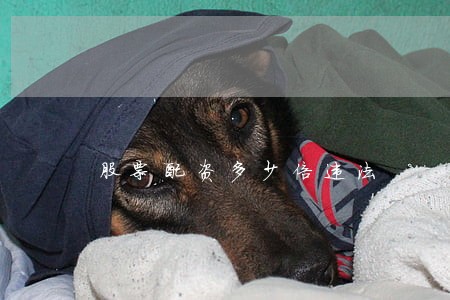 股票配资多少倍违法 股票配资多少倍违法
