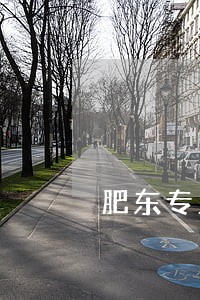 肥东专业法律顾问服务 肥东专业法律顾问服务