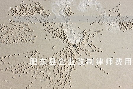 肥东县企业改制律师费用 肥东县企业改制律师费用
