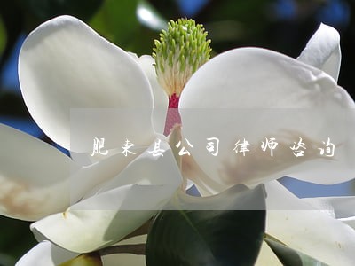 肥东县公司律师咨询 肥东县公司律师咨询