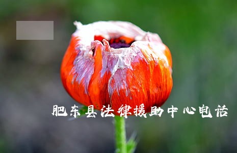 肥东县法律援助中心电话