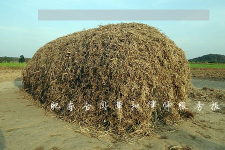 肥东合同草拟律师服务报价 肥东合同草拟律师服务报价