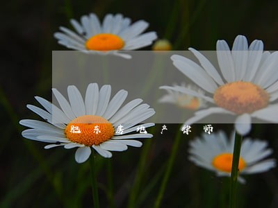 肥东房地产律师 肥东房地产律师