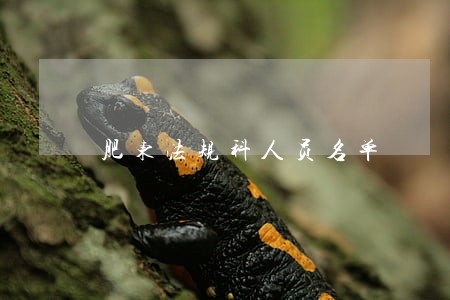 肥东法规科人员名单