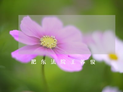 肥东法院王养俊 肥东法院王养俊