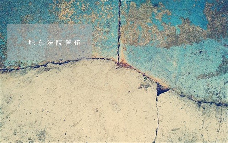 肥东法院管伍