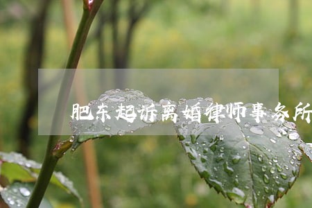 肥东起诉离婚律师事务所 肥东起诉离婚律师事务所