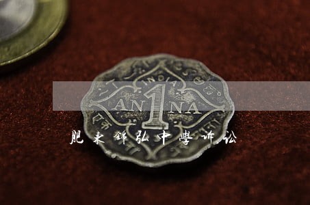 肥东锦弘中学诉讼 肥东锦弘中学诉讼