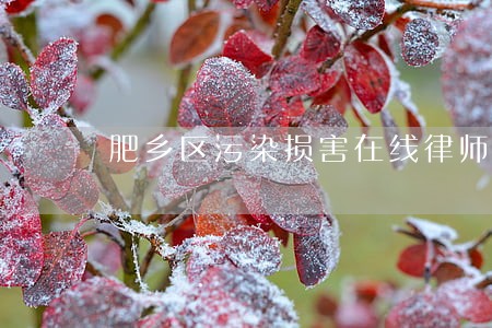 肥乡区污染损害在线律师 肥乡区污染损害在线律师