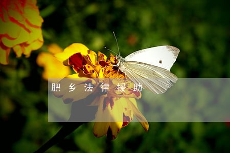 肥乡法律援助 肥乡法律援助