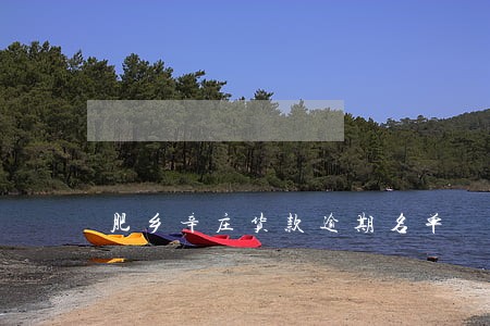 肥乡辛庄货款逾期名单 肥乡辛庄货款逾期名单