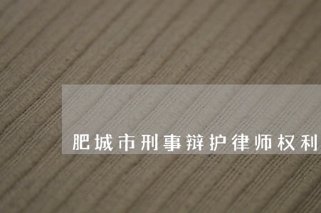 肥城市刑事辩护律师权利 肥城市刑事辩护律师权利