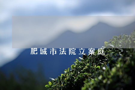 肥城市法院立案庭 肥城市法院立案庭