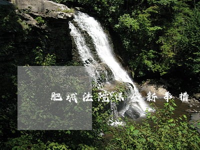 肥城法院保全新举措