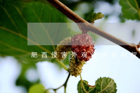 肥西侵害外观设计专利权纠纷律师 肥西侵害外观设计专利权纠纷律师
