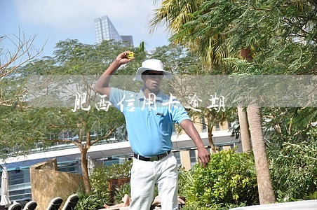 肥西信用卡逾期 肥西信用卡逾期