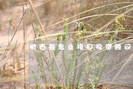 肥西县专业项目投资顾问律师