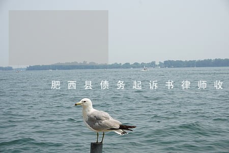 肥西县债务起诉书律师收费 肥西县债务起诉书律师收费