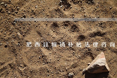 肥西县倾销补贴法律咨询