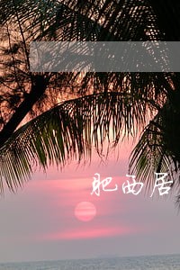 肥西居间合同纠纷律师