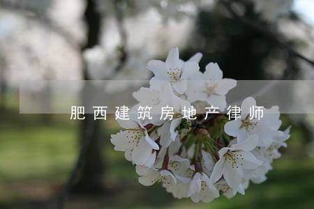 肥西建筑房地产律师 肥西建筑房地产律师