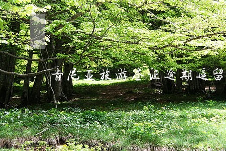 肯尼亚旅游签证逾期逗留