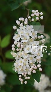 肯尼亚法院叫停一大型煤电站建设 肯尼亚法院叫停一大型煤电站建设