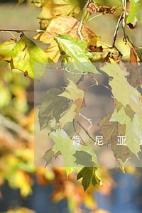 肯尼亚逾期交罚款 肯尼亚逾期交罚款