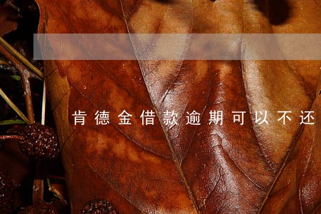 肯德金借款逾期可以不还吗 肯德金借款逾期可以不还吗