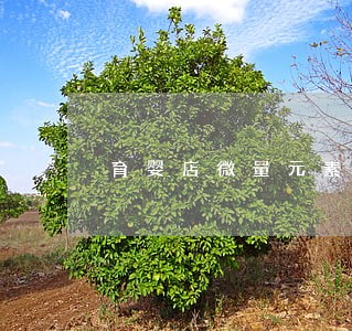 育婴店微量元素检测违法吗 育婴店微量元素检测违法吗