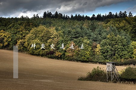 肺炎交通违法 肺炎交通违法