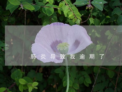 肺炎导致我逾期了 肺炎导致我逾期了