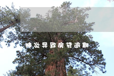 肺炎导致房贷逾期 肺炎导致房贷逾期